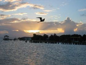 Placencia, Belize at sunset over the water with stork flying. – Best Places In The World To Retire – International Living